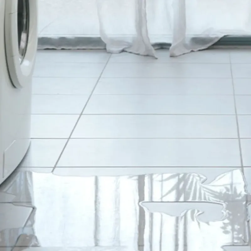 Appliance Leak Cleanup in Little Chute, WI