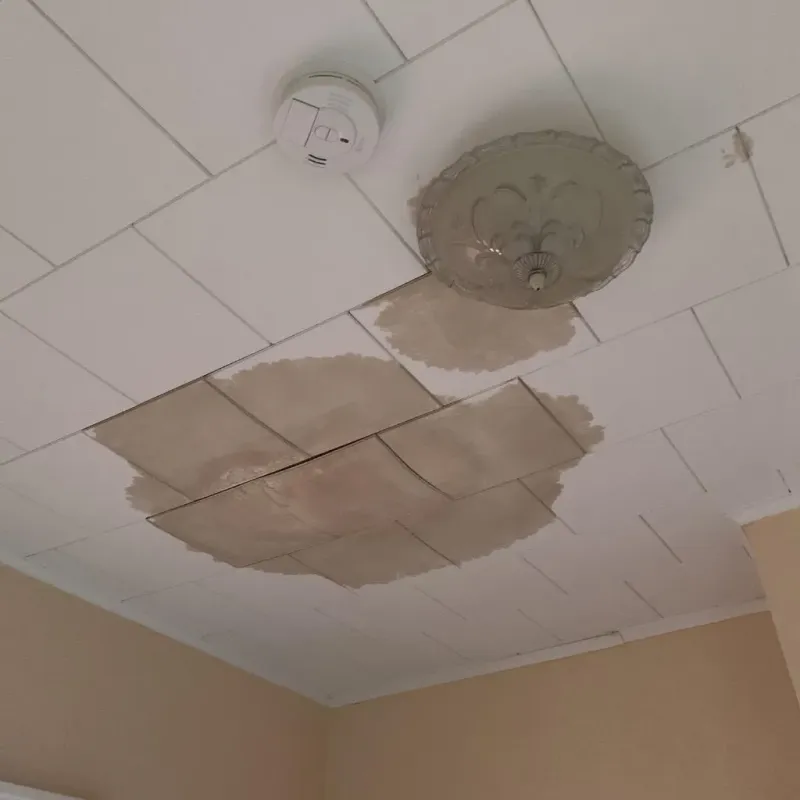 Ceiling Water Damage Repair in Little Chute, WI