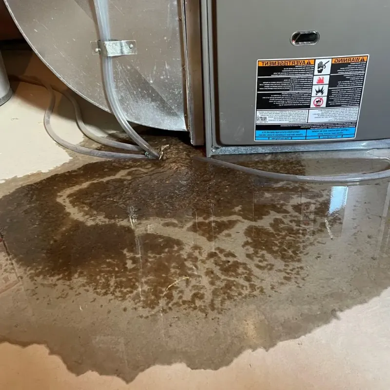 Pipe Burst and Leak Restoration in Little Chute, WI