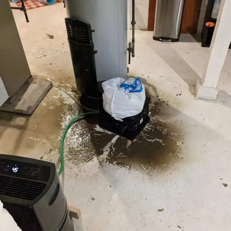 Sewage Backup Cleanup Service in Little Chute, WI